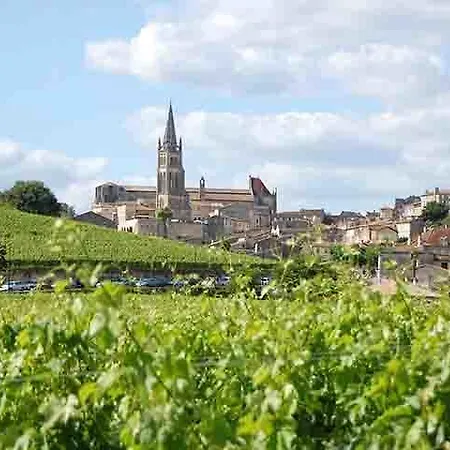 Rarecat Saint-Émilion