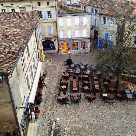 Rarecat Willa Saint-Émilion