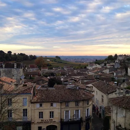 Rarecat Saint-Émilion